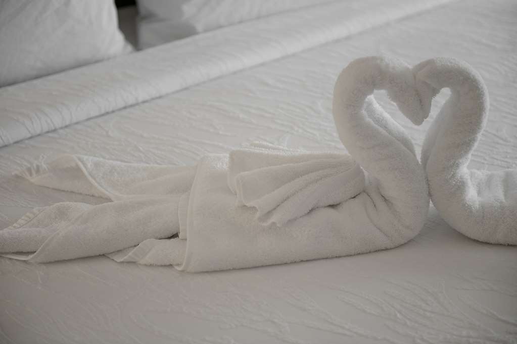 Hilton Garden Inn Louisville Mall Of St. Matthews Rum bild