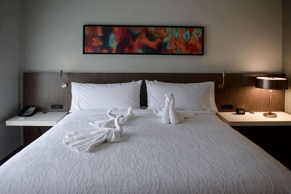 Hilton Garden Inn Louisville Mall Of St. Matthews Rum bild